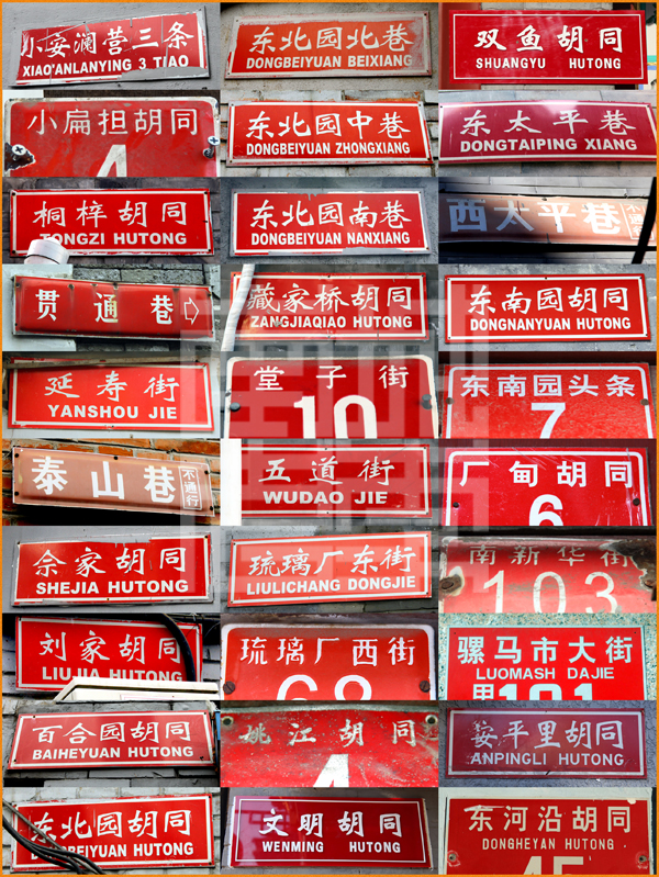 查看更多精彩图片