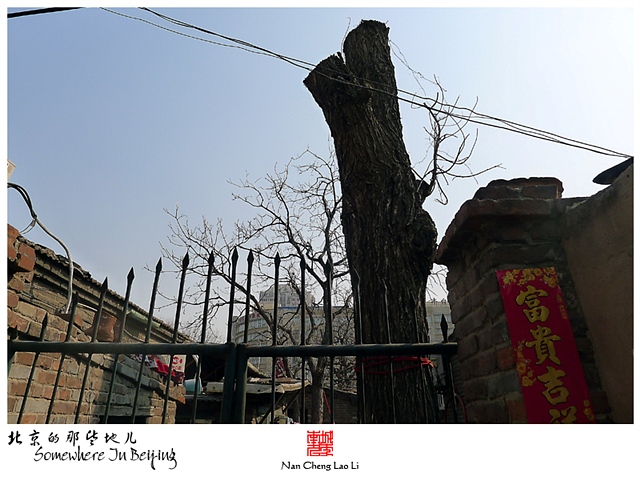 查看更多精彩图片