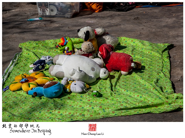 查看更多精彩图片