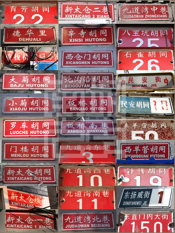 查看更多精彩图片