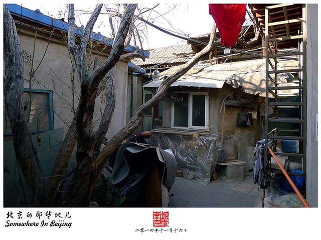 查看更多精彩图片
