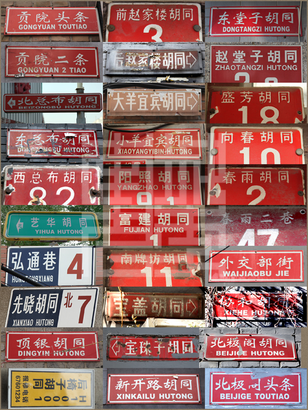 查看更多精彩图片