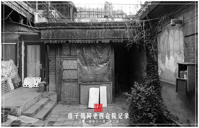 查看更多精彩图片