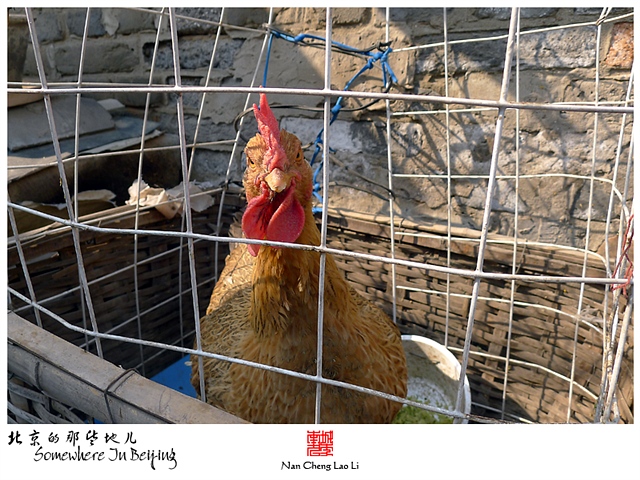 查看更多精彩图片