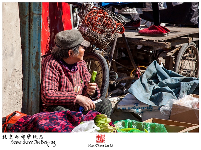 查看更多精彩图片