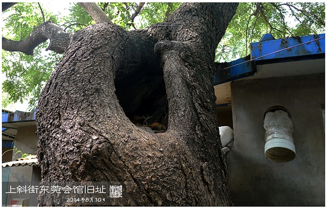 查看更多精彩图片