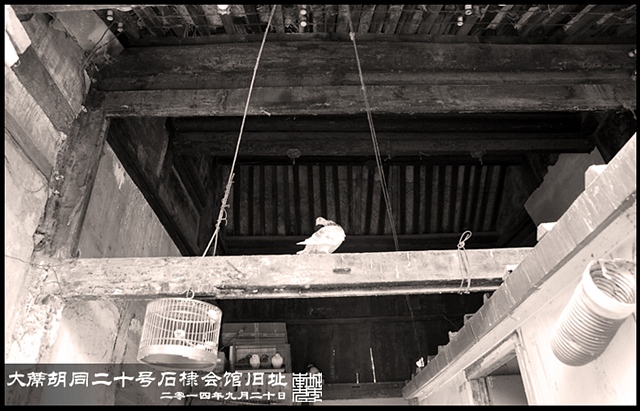 查看更多精彩图片