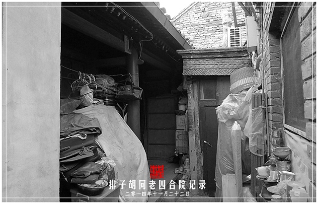 查看更多精彩图片