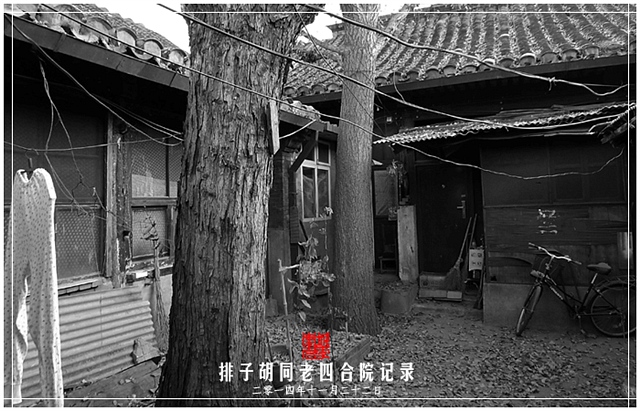 查看更多精彩图片
