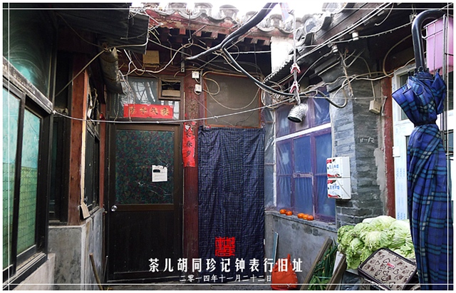 查看更多精彩图片