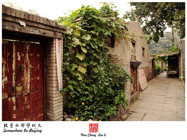 查看更多精彩图片
