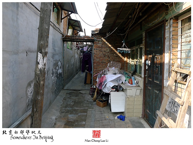 查看更多精彩图片