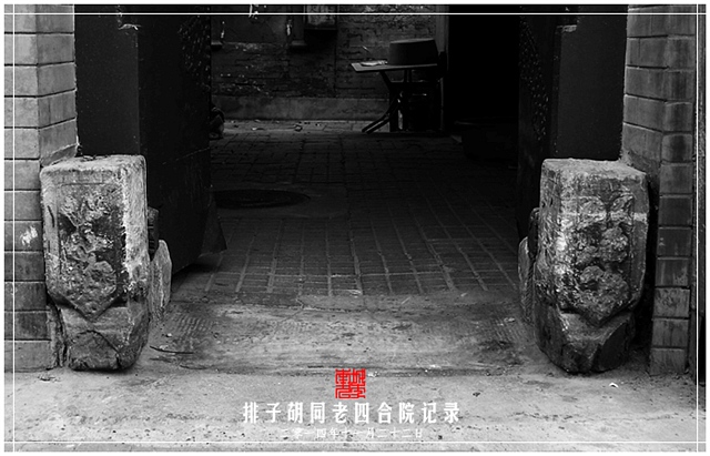 查看更多精彩图片