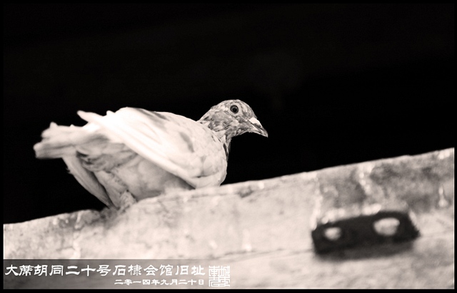 查看更多精彩图片
