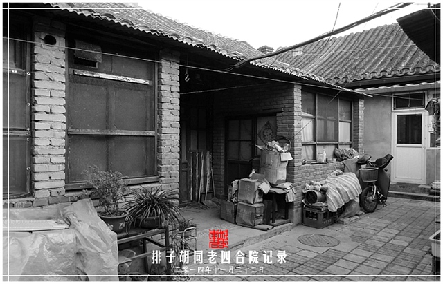 查看更多精彩图片