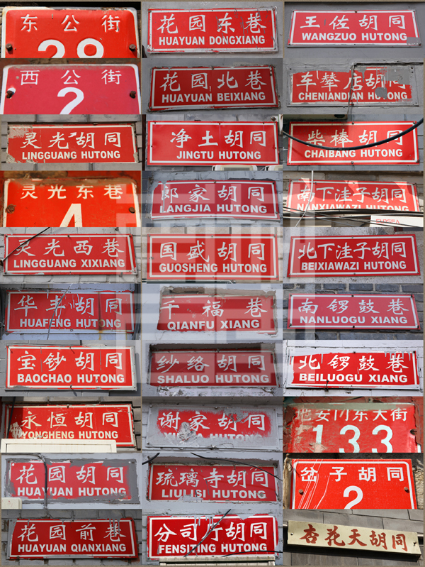 查看更多精彩图片
