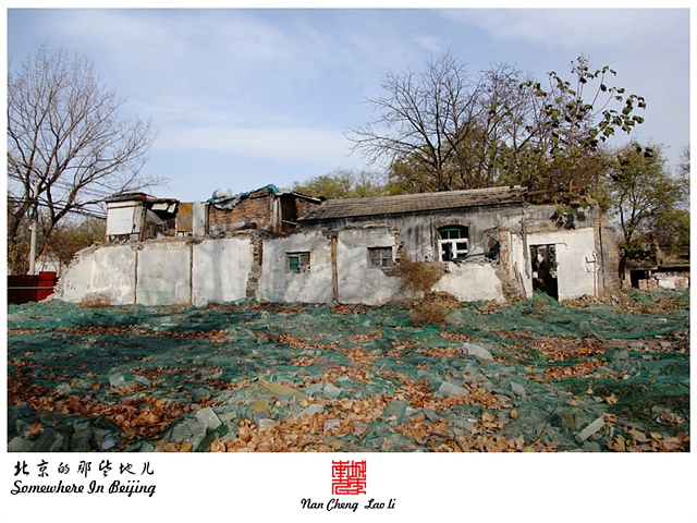 查看更多精彩图片