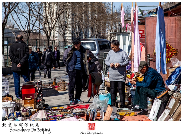 查看更多精彩图片
