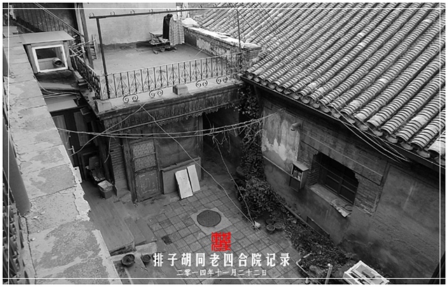 查看更多精彩图片