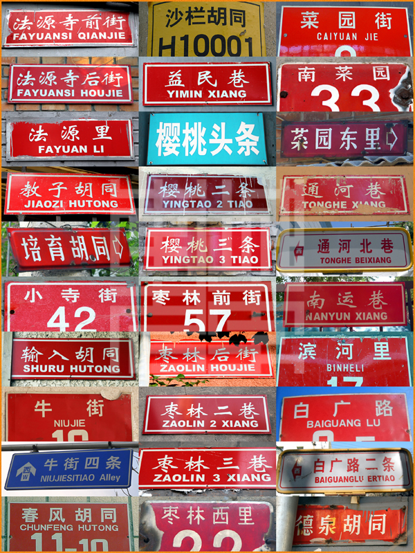 查看更多精彩图片