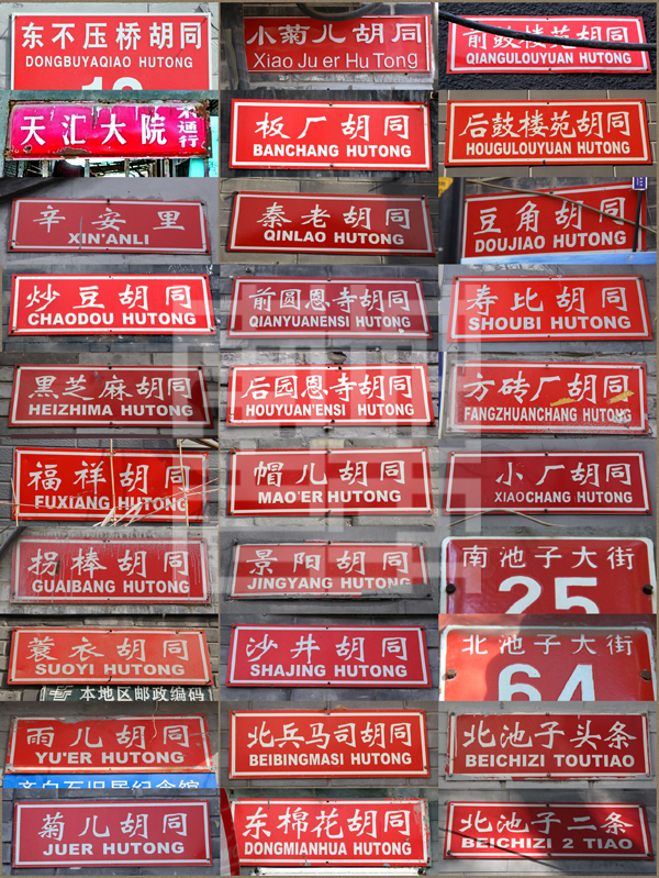 查看更多精彩图片
