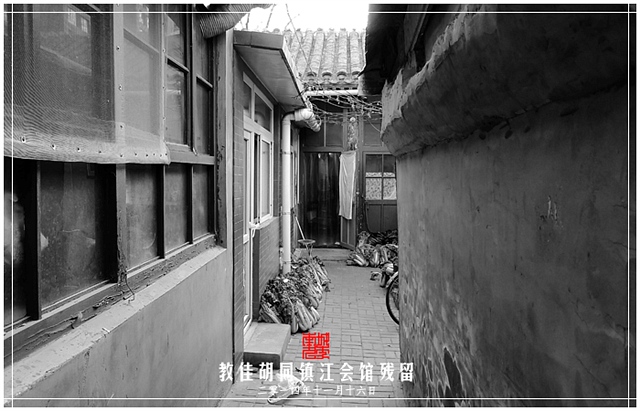 查看更多精彩图片