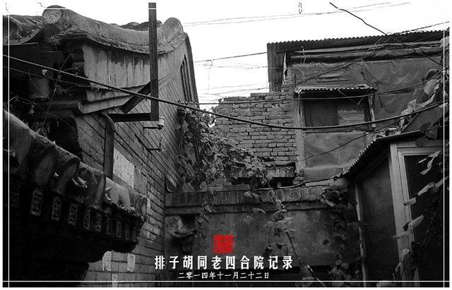 查看更多精彩图片