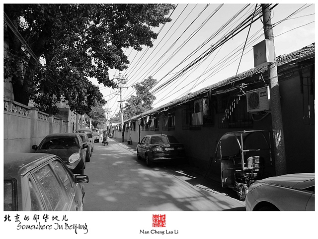 查看更多精彩图片