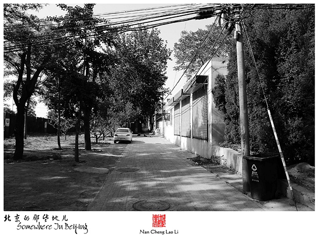 查看更多精彩图片