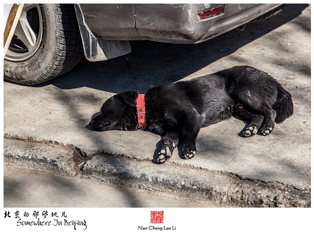 查看更多精彩图片