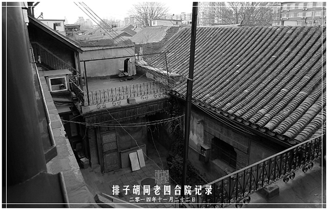 查看更多精彩图片