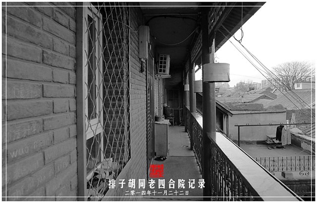 查看更多精彩图片