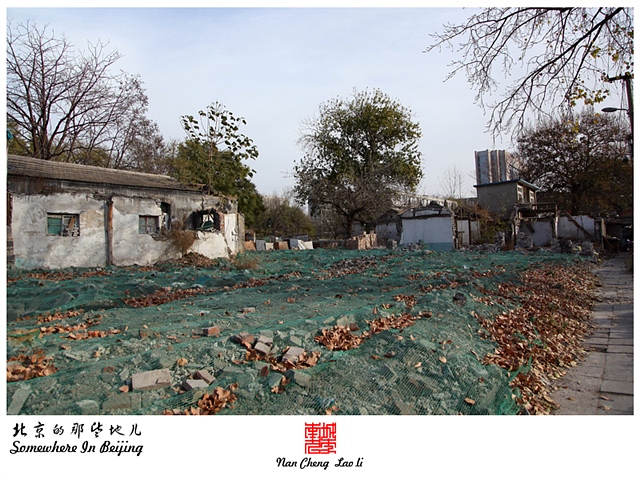 查看更多精彩图片