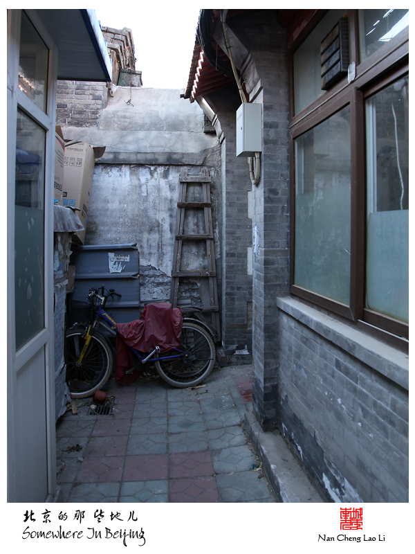 查看更多精彩图片