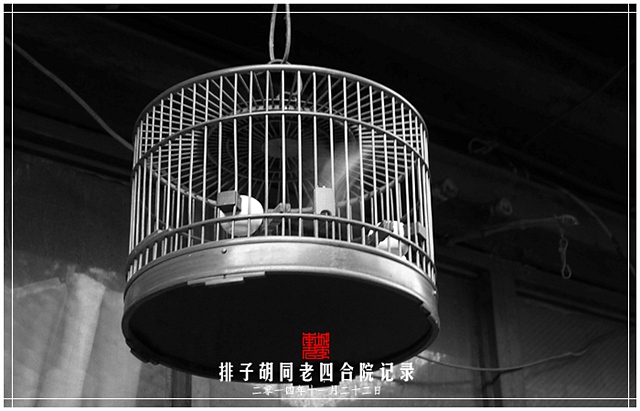 查看更多精彩图片