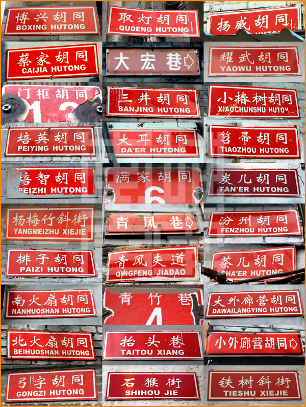 查看更多精彩图片