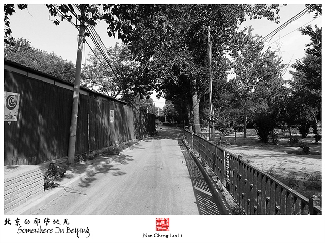 查看更多精彩图片
