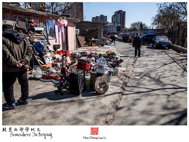 查看更多精彩图片