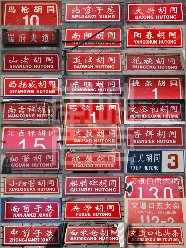 查看更多精彩图片