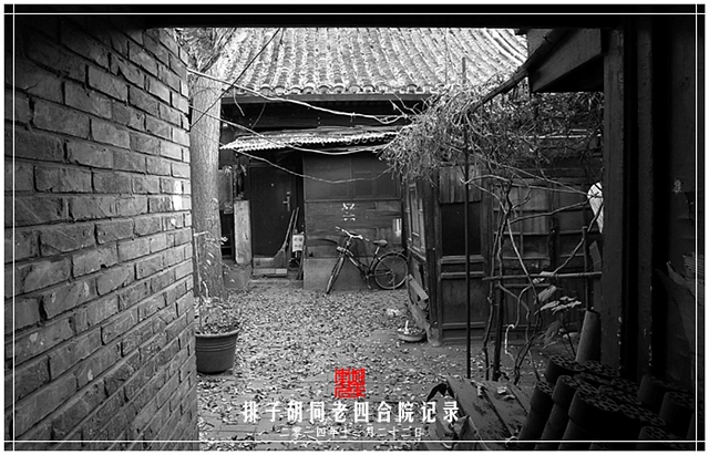查看更多精彩图片