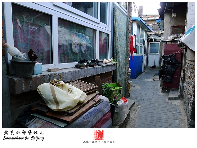 查看更多精彩图片