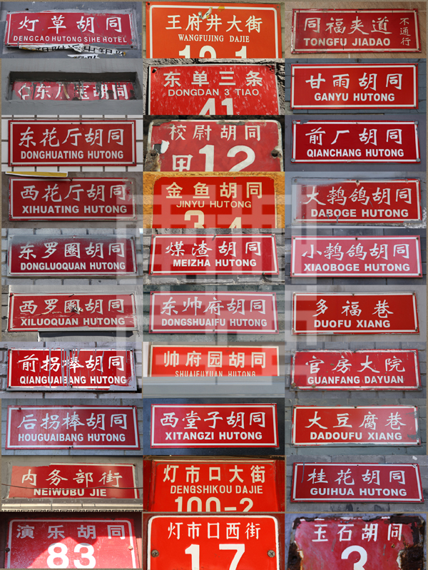 查看更多精彩图片