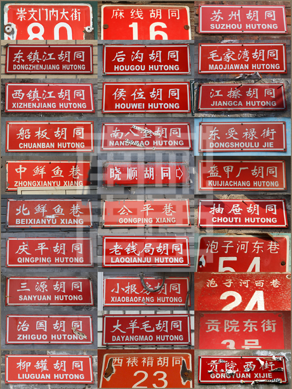 查看更多精彩图片