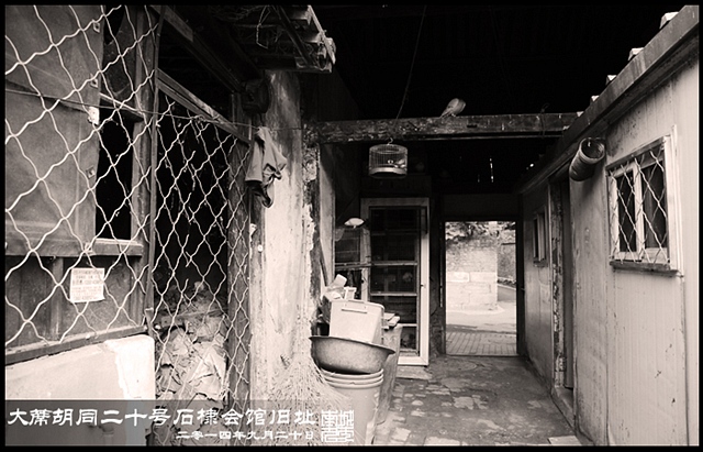 查看更多精彩图片