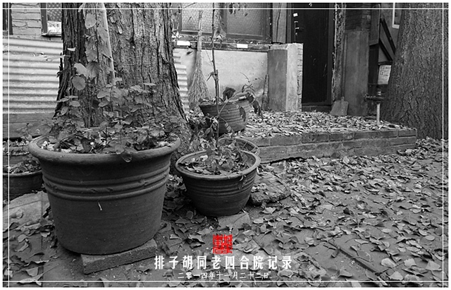 查看更多精彩图片