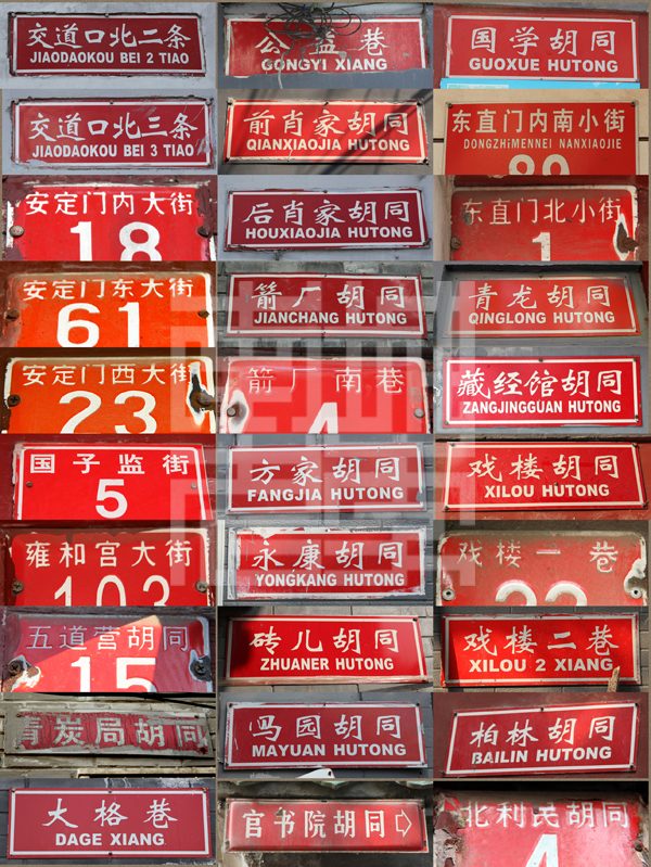 查看更多精彩图片