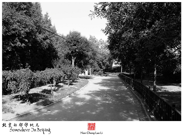 查看更多精彩图片