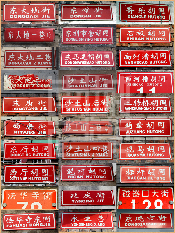 查看更多精彩图片