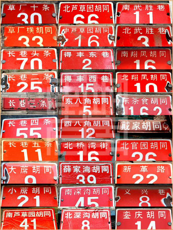 查看更多精彩图片