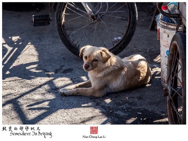 查看更多精彩图片